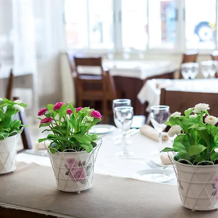 Pensionat Complejo Roma