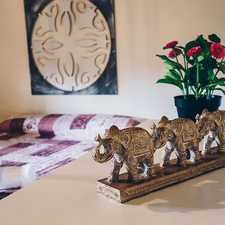 Pensionat Complejo Roma